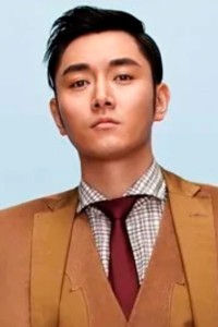 Li Dongxue