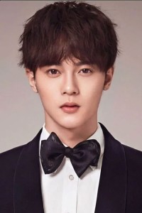 Li Jun Chen